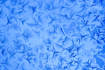 Image showing Frost patters