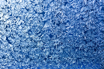 Image showing Frost patters