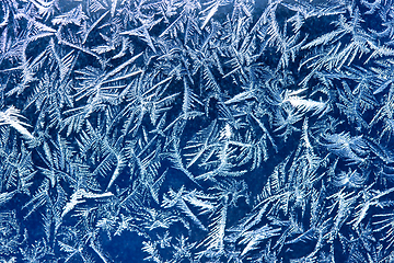 Image showing Frost patters