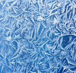 Image showing Frost patters