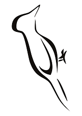 Image showing Woodpecker at sketch