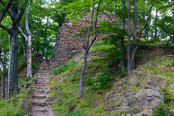 Image showing Ruins in Waldenburg Mountains, Poland