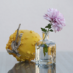 Image showing Chrysanthemum and pumpkin