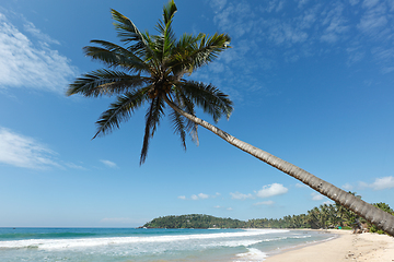 Image showing Idyllic beach with palm. Sri Lanka