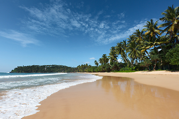 Image showing Idyllic beach. Sri Lanka