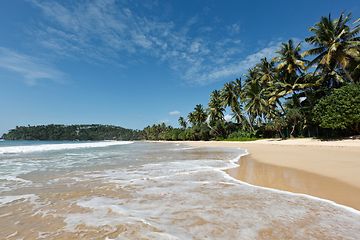 Image showing Idyllic beach. Sri Lanka