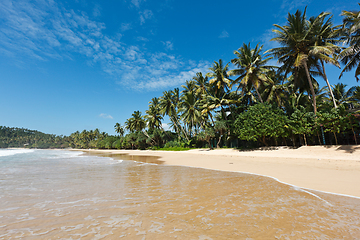 Image showing Idyllic beach. Sri Lanka