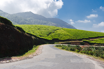 Image showing Road in tea plantations