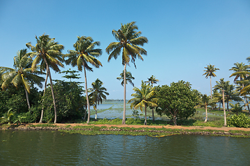 Image showing Kerala backwaters