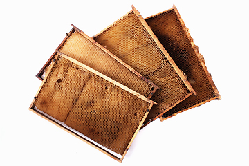 Image showing honey combs frames