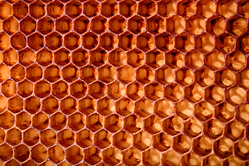 Image showing honey combs background