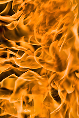 Image showing orange flames