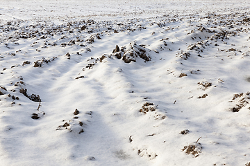 Image showing plowed field under snow