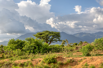 Image showing Mago National Park, Omo Valley, Etiopia