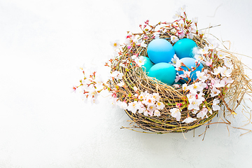 Image showing Happy Easter - nest with Easter eggs and cherry branch on white background with copy space