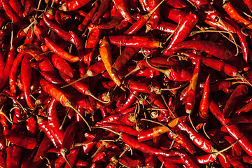 Image showing Red spicy chili peppers