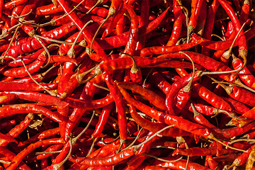 Image showing Red spicy chili peppers