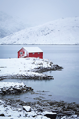 Image showing Red rorbu house in winter, Lofoten islands, Norway