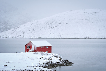 Image showing Red rorbu house in winter, Lofoten islands, Norway