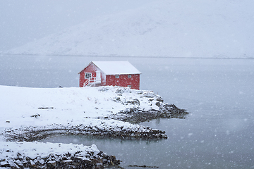 Image showing Red rorbu house in winter, Lofoten islands, Norway