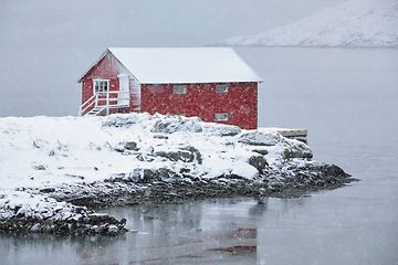 Image showing Red rorbu house in winter, Lofoten islands, Norway