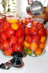 Image showing tomatoes in the jars prepared for preservation