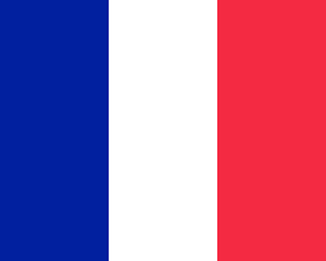 Image showing Colored flag of France