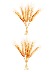 Image showing Two Wheat ears isolated. EPS 10