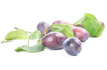 Image showing Plum with twig and leaves on white