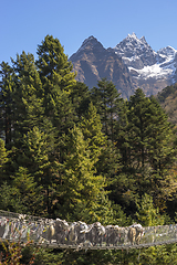 Image showing Yaks caravan crossing suspension bridge in Himalayas