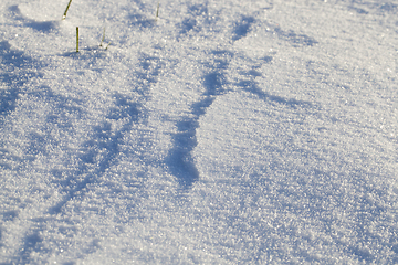 Image showing Snow drifts in winter