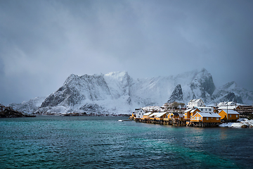 Image showing Yellow rorbu houses, Lofoten islands, Norway