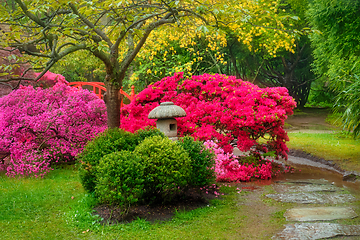 Image showing Japanese garden, Park Clingendael, The Hague, Netherlands