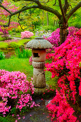 Image showing Japanese garden, Park Clingendael, The Hague, Netherlands