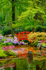 Image showing Japanese garden, Park Clingendael, The Hague, Netherlands