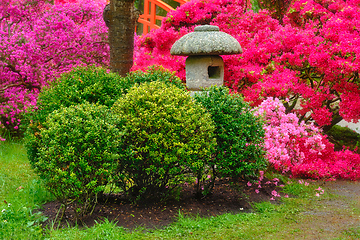 Image showing Japanese garden, Park Clingendael, The Hague, Netherlands