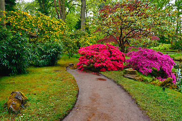 Image showing Japanese garden, Park Clingendael, The Hague, Netherlands