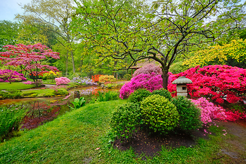 Image showing Japanese garden, Park Clingendael, The Hague, Netherlands