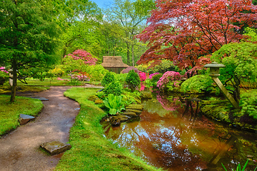 Image showing Japanese garden, Park Clingendael, The Hague, Netherlands