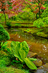 Image showing Japanese garden, Park Clingendael, The Hague, Netherlands