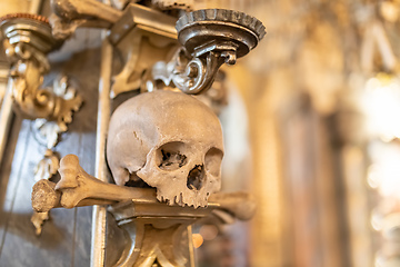 Image showing Human skulls and bones in ossuary Sedlec Kostnice