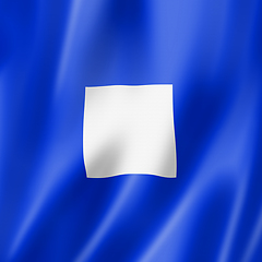 Image showing Papa international maritime signal flag