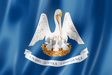 Image showing Louisiana flag, USA