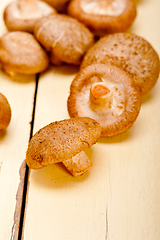 Image showing shiitake mushrooms