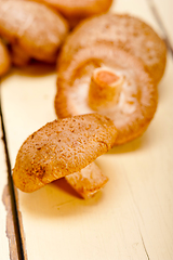 Image showing shiitake mushrooms