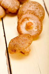 Image showing shiitake mushrooms