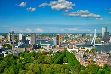 Image showing View of Rotterdam city and the Erasmus bridge