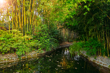 Image showing Park in Chengdu, China