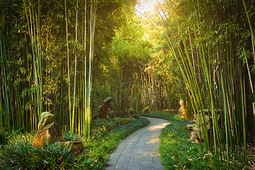 Image showing Wangjiang Pavilion in Wangjianglou park. Chengdu, Sichuan, China