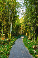 Image showing Wangjiang Pavilion in Wangjianglou park. Chengdu, Sichuan, China